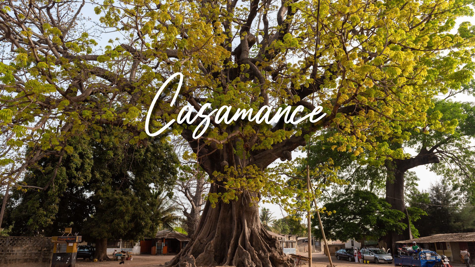 casamance_edited-1