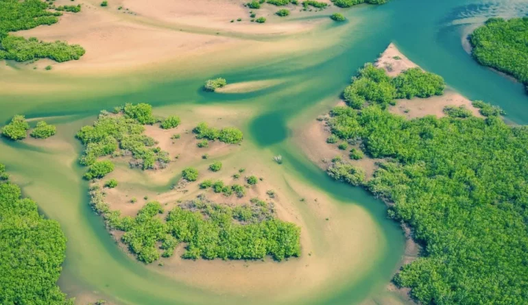 delta-del-sine-saloum-senegal