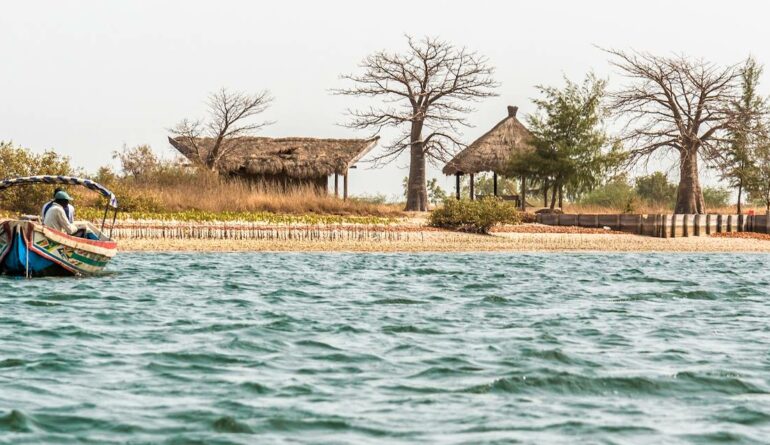 delta-du-sine-saloum-senegal-597895-1280×640